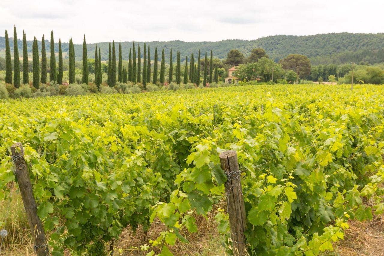 Relais La Pieve Vecchia Hotel ริปาร์เบลลา ภายนอก รูปภาพ